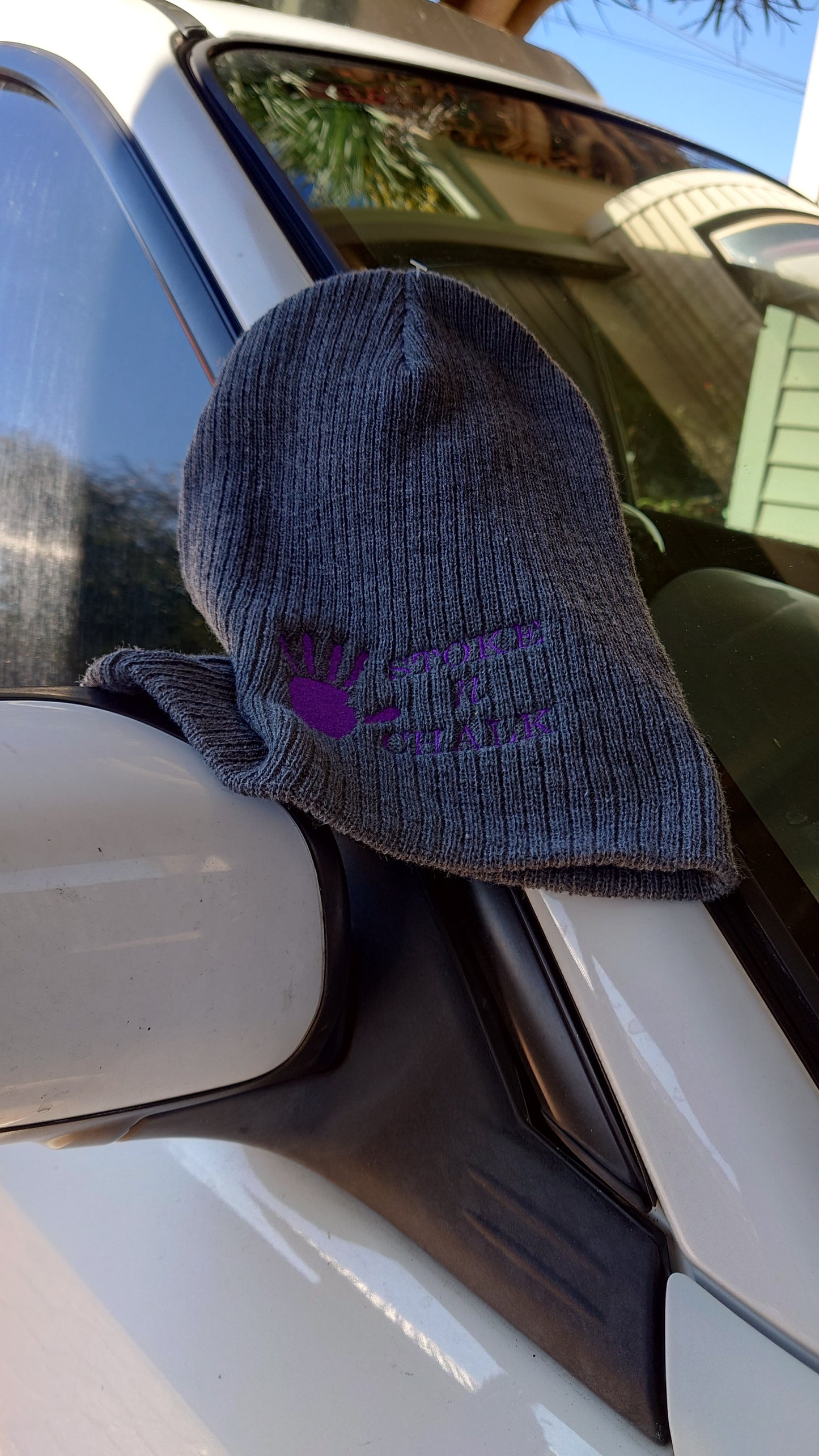 Beanie (Purple on Grey)